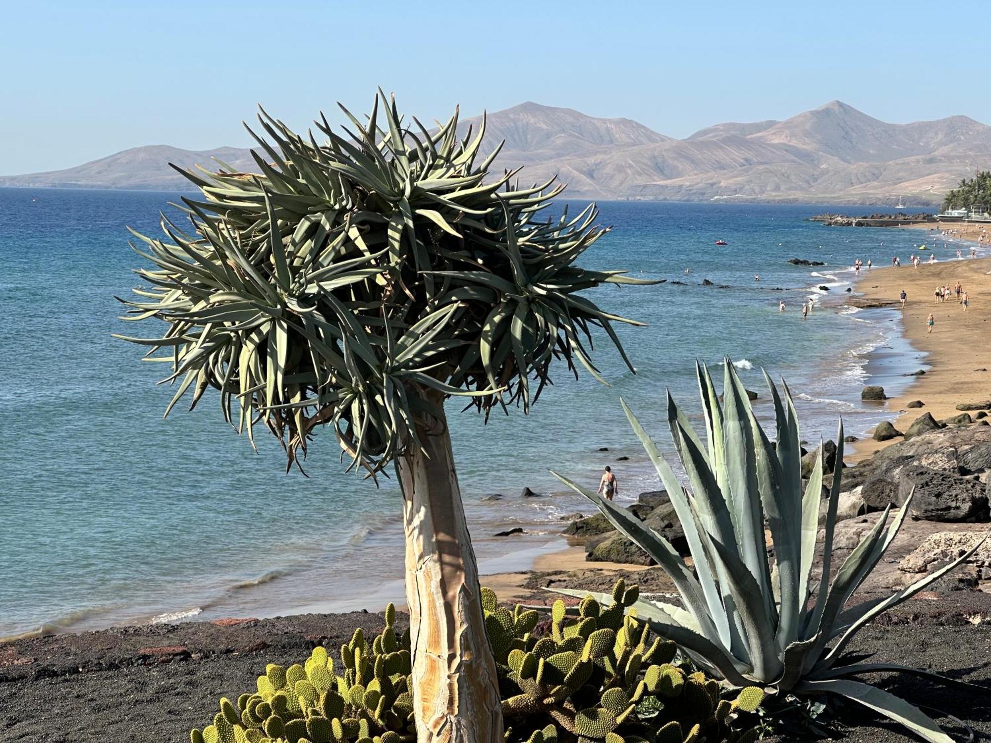 Sea View With Direct Access To Boulevard Puerto del Carmen  Exterior photo